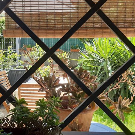 Fabiola B & B Марино Екстериор снимка