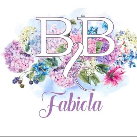 Fabiola B & B Марино Екстериор снимка